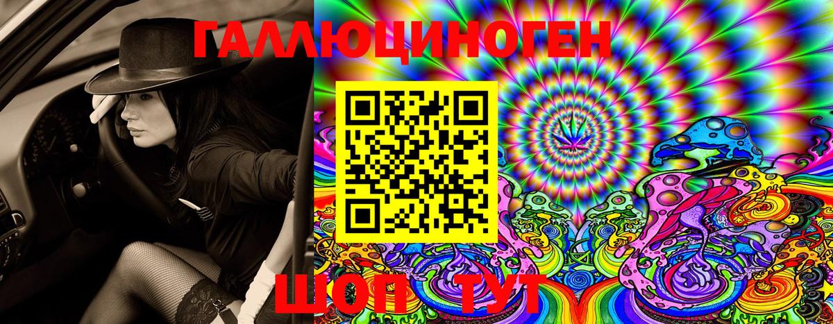 наркота  Галлюциногенные грибы Psilocybe  Вход с VPN  Саяногорск 
